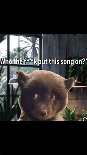 Stream or watch our new cover of Decode by Paramore! #paramore #coversong #hayleywilliams #emo