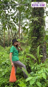 370K views · 1.2K reactions | URI NG SUSO NA 'BUKO' O 'BAYUKO,'...