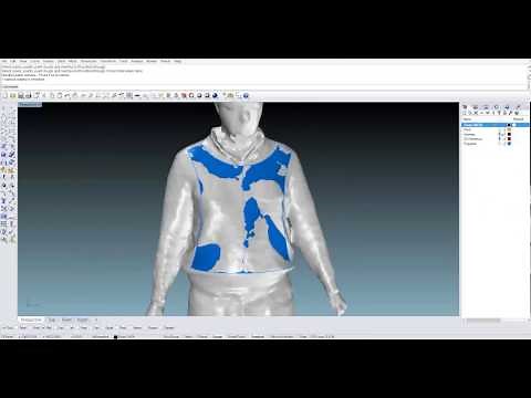 Rhinoceros 5. Flattening surface