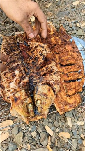 fish bbq in feld# partridge hunting spot#hargosh spot#nature #rabbit