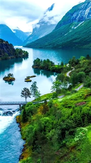 Découverte #forêt #calme #meditation