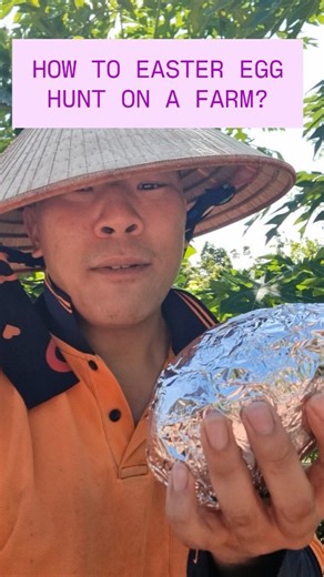 24K views · 1.7K reactions | HOW TO EASTER EGG HUNT ON A FRUIT FARM #easter #easteregghunt #eastereggs #eastersunday #tutorial #cumquat #taro #fruits #easterholidays | HoeyFarmer | Facebook