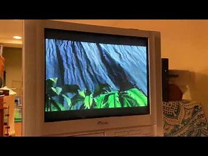 end of ice age vhs starz