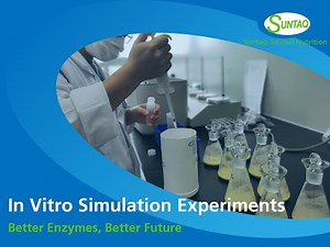 In Vitro Simulation Experiments