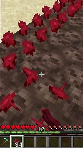 Nether Warts Are ACTUALLY Cool? #minecraft #survival