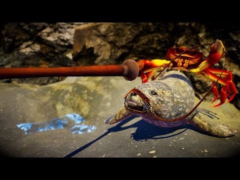 Fight Crab - All Bosses / Boss Fights