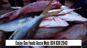 331 reactions · 15 shares | HIGH QUALITY FRESH SEA FOOD/FISH(0540914289) EMJAY SEAFOODS -B/A BRANCH. If you are in Sunyani and it environs kindly WhatsApp or call 0540914289/ 0240458311 for delivery arrangement n further enquiry. You can visit our shop at Area 2 Twene Amanfo lane opposite Stanbic bank Fresh outta sea from local Ghanaian fishermen not imported! | Emjay Sea Foods | Facebook