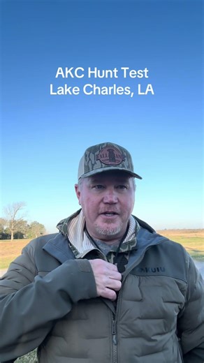 AKC Hunt Test #dogtraining #huntingdog #gundogs #retriever #huntingdogs