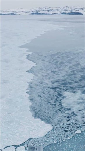 Arctic Ocean: A Frozen World Still Alive
