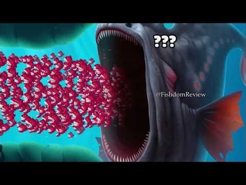 Fishdom Mini Game Ad Review – Survival Challenge Tested 🐟💥