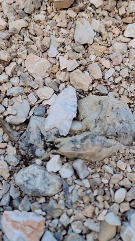 Arrowhead Finds in Texas