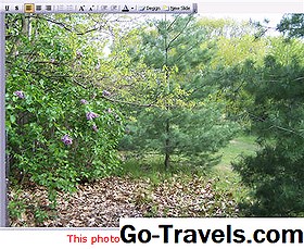 Cómo crear una macro de PowerPoint simple - CóMO 2026