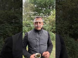 Dog reactivity - The 6 steps to resolve