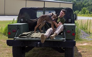 3K views · 3.2K reactions | Best friend. Hero. Marine. Go on an adventure with #MaxTheHero this Spring - in cinemas 18 September | Empire Entertainment | Facebook