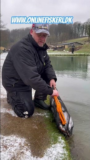 Opbevaring af fisk! #fisker #fiskeri #fisketur #realstory #fishing