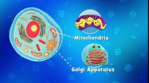 GIANT MICROBES Animal Cell Plush, Animal Cell Model, Biology Model, Biology Gifts, Science Classroom Decor, Science Teacher Gifts, Cell Biology, Biology Stuffed Animals