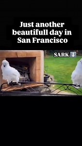 1.6K views · 461 reactions | Happy Tuesday, soul tribe! ❤️ Love, SARK, and the Angel of Love ✨️ | SARK | Facebook