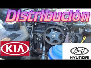 Correa Distribucion Kia Rio JB / Hyundai Accent TUTORIAL FACIL