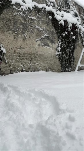 Apologies in the MCYT Cosplay Community