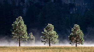 Welcome to post-processing - Photoshop Video Tutorial | LinkedIn Learning, formerly Lynda.com