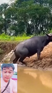 Amam Amam on Reels