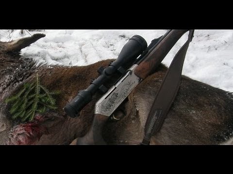 Hunting with a Browning Bar Short Trac 9,3x62