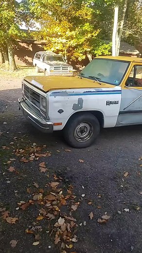 Anthony Cooke (@anthonycooke27)’s videos with Better than a Camry - Brandon Arpin