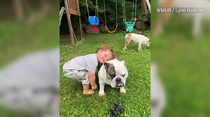 16K views · 21 reactions | It’s Global Love Day! How will you celebrate? | WPBF 25 News | Facebook