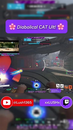 Insane Diabolical Cat Gameplay in Overwatch 2