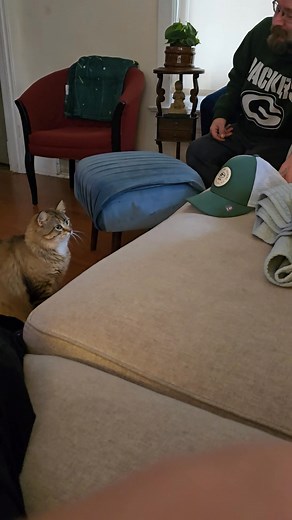 Subscribe to get exclusive benefits: https://www.facebook.com/elizabeth.gardner.22038/subscribenow | Elizabeth Gardner | Facebook