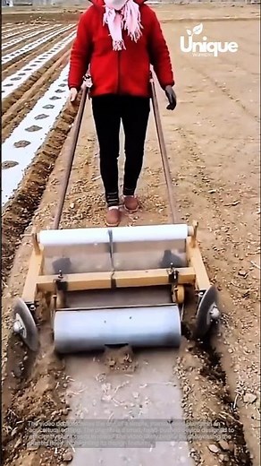 Efficient manual seed planting: a time-saving gardening technique