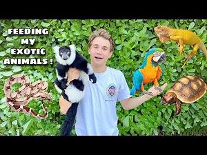 FEEDING ALL MY EXOTIC ANIMALS !