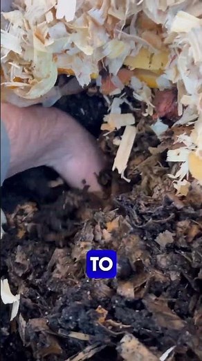 How to make a cold compost pile