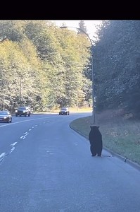 35M views · 489K reactions | Kids will be kids! 藍. Mom not happy  | Learning Express Toys Lake Zurich serving the Chicago NW Suburbs | Facebook