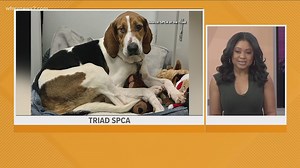 2 the Rescue: Meet Leela
