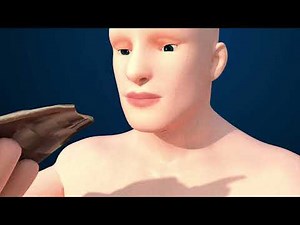 Metabolism Overview: Anabolism and Catabolism in 3D & Chemical Reactions | Biomolecules