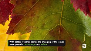 16K views · 344 reactions | Where do those warm colors come from? It all comes down to Chemistry. | Science Channel | Facebook