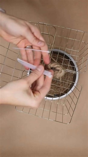 Grab 2 Dollar Tree cake pans and some marbles… 👀