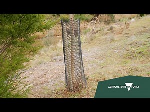 5. Supplementary Rabbit control options in Victoria