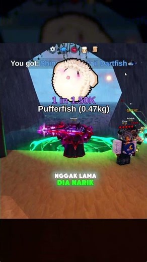 THE BEST SPOT TO GET GREAT WALI AT TROPICAL GROVE FISH IT!