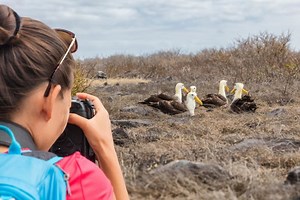 Patrimonios de la Humanidad en Ecuador: guía para conocerlos y visi...