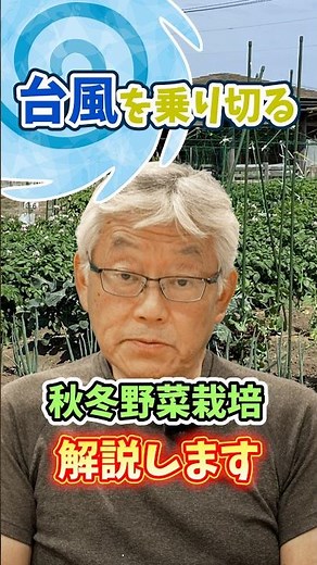 Secrets to Surviving Typhoons When Growing Fall and Winter Vegetables in Your Garden or Farm! [Pr...