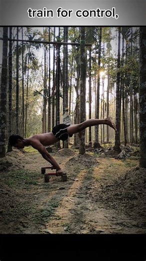 300/365 planche practice ⏰