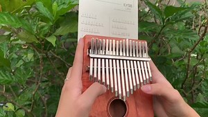 67K views · 810 reactions | Calling all LANY fans! Order your own Kalimbas now and get our free tune book so you can play your instrument right away  www.benandbart.com | Ben & Bart | Facebook