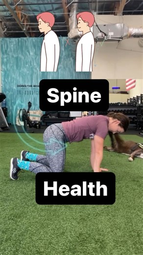 30K views · 366 reactions | Want a healthier spine? 樂 ☺️Try these☺️...