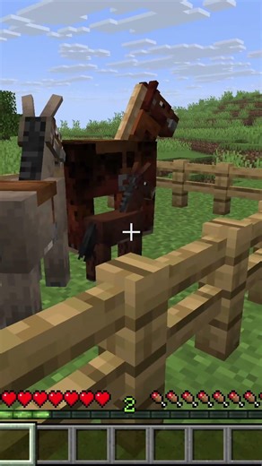Horse SECRETS You Might Not Know! #minecraft #survival