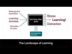 The Landscape of Learning (HLW 1)