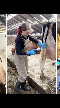 Day in the Life of USA Farm Girls 🐄✨ Milking Cows & Caring for Calves
