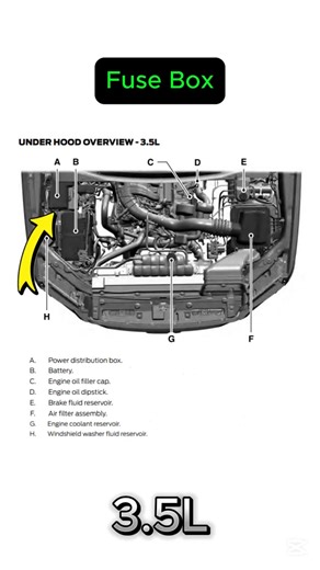 FuseFans on Instagram: "Fuse Box Diagram: Ford F-150 2016 - 2025. Short. FuseFans. Ford F 150 2016, 2017, 2018, 2019, 2020, 2021, 2022, 2023, 2024, 2025. Ford F150 2016, 2017, 2018, 2019, 2020, 2021, 2022, 2023, 2024, 2025. CHAPTERS: 00:00 Ford F-150 2016. 03:40 Ford F-150 2017. 07:17 Ford F-150 2018. 11:47 Ford F-150 2019. 16:17 Ford F-150 2020. 20:47 Ford F-150 2021. 24:44 Ford F-150 2022. 29:18 Ford F-150 2023. 33:56 Ford F-150 2024. 37:51 Ford F-150 2025. Fuel Pump Relay and Fuse. Engine won