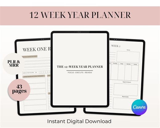 PLR / MRR 12 Week Year Planner | 90 Day Goal, Resell Rights (PDF) - Etsy
